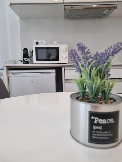 포르투 Seni'S House 아파트 외부 사진